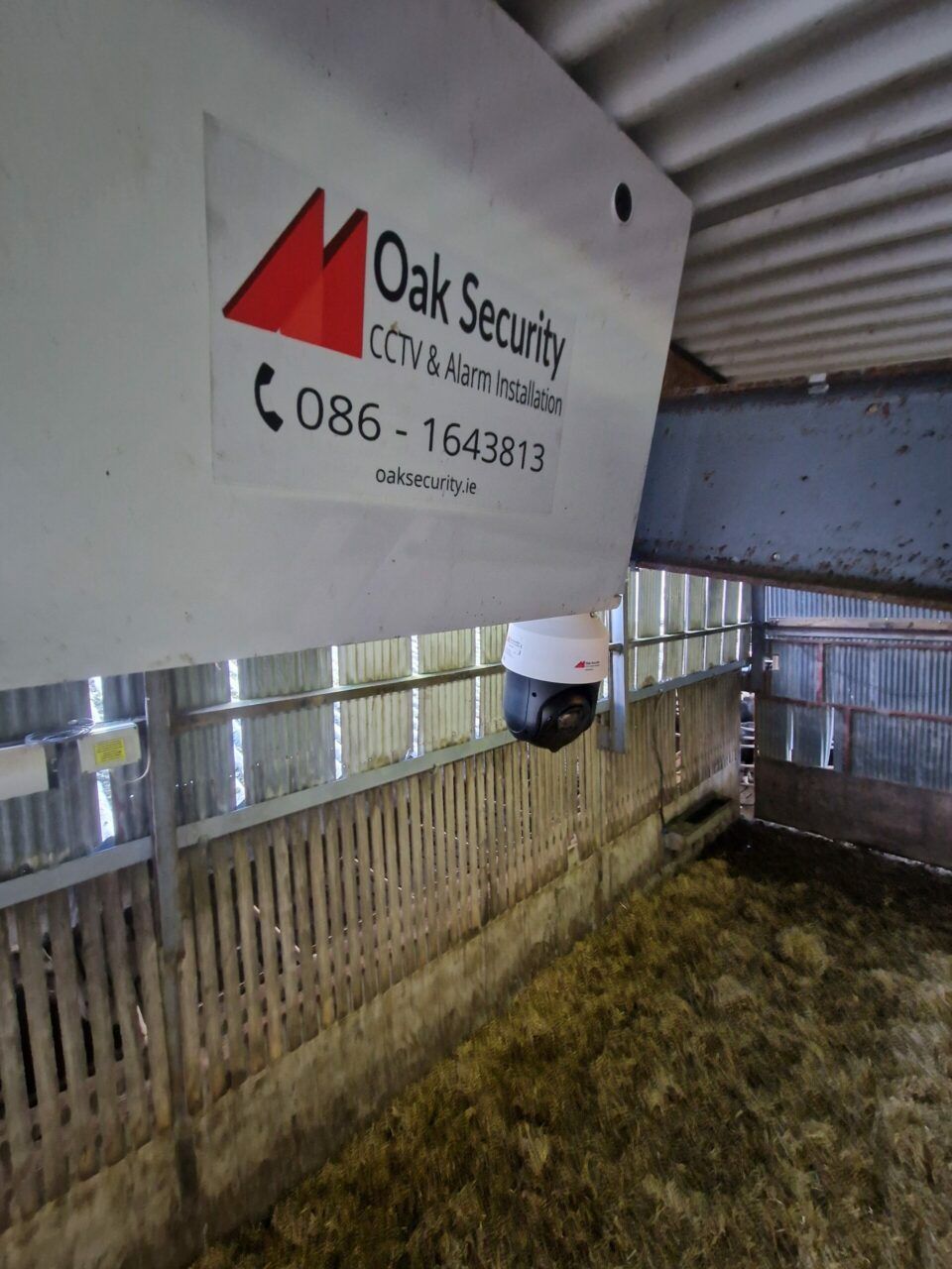 calving camera in cow shed